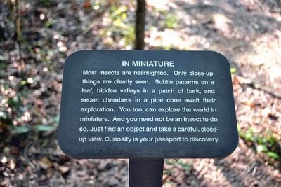 In Miniature Interpretive Sign image. Click for full size.