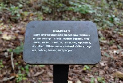 Mammals Interpretive Sign image. Click for full size.
