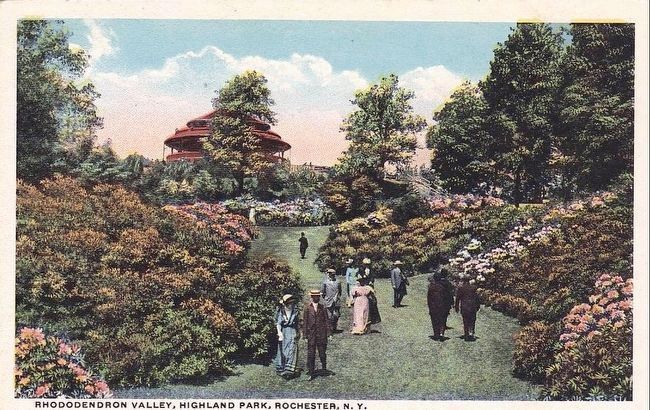 Rhododendron Valley, Highland Park, Highland Park, N.Y. image. Click for full size.