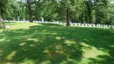 "Panther" Mound. Click for full size. "Panther" Mound image. Click for full size.