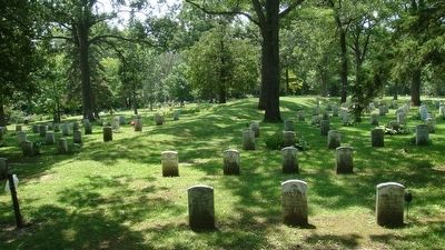 "Panther" Mound. Click for full size. "Panther" Mound image. Click for full size.
