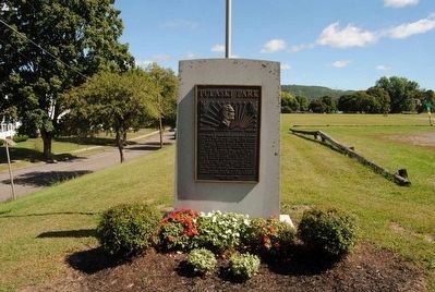Pulaski Park Monument. Click for full size. Pulaski Park Monument image. Click for full size.
