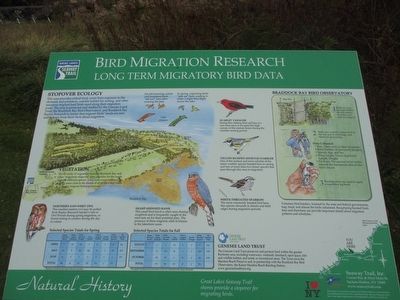 Bird Migration Research Marker image. Click for full size.