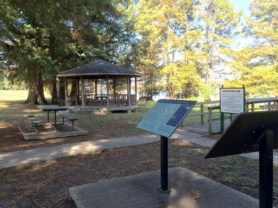 Area where canal was attempted near river. image. Click for full size.