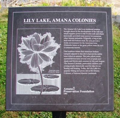 Lily Lake, Amana Colonies Marker image. Click for full size.