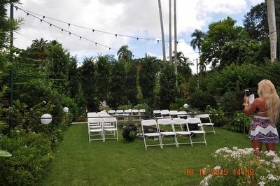 The Moonlight Garden. Click for full size. The Moonlight Garden image. Click for full size.
