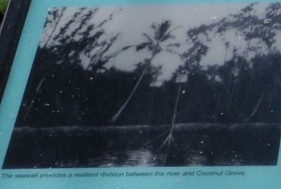 The seawall provides a resilient division between the river and Coconut Grove. image. Click for full size.