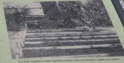 Edison’s Water System. Click for full size. Edison’s Water System image. Click for full size.