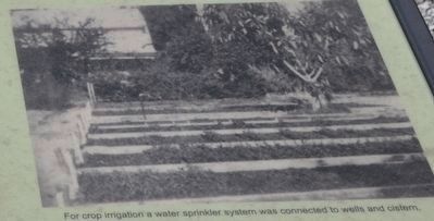 Edisons Water System image. Click for full size.