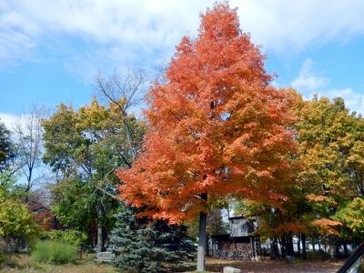 Athens Marker-Fall Foliage. Click for full size. Athens Marker-Fall Foliage image. Click for full size.