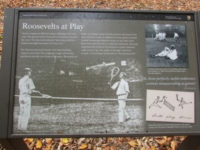 Roosevelts at Play Marker. Click for full size. Roosevelts at Play Marker image. Click for full size.