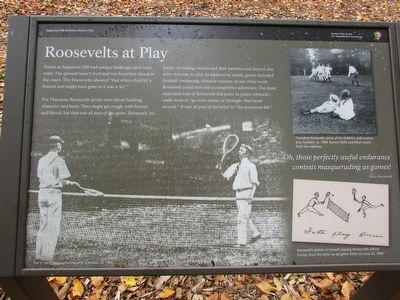 Roosevelts at Play Marker image. Click for full size.