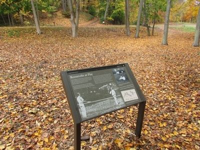 Roosevelts at Play Marker. Click for full size. Roosevelts at Play Marker image. Click for full size.