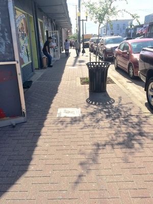 Portion of the Greenville Walk of Fame. image. Click for full size.
