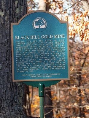 Black Hill Gold Mine image. Click for full size.