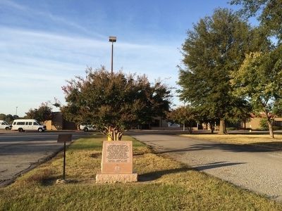 Marker in front of Delta Health Center image. Click for full size.