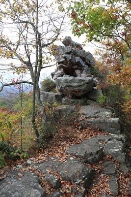 On the Trail to the Overlook. Click for full size. On the Trail to the Overlook image. Click for full size.