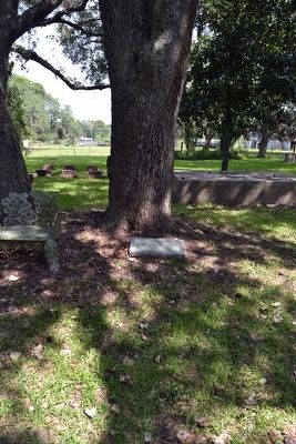 Approximate Burial Site of Henry William Munson image. Click for full size.