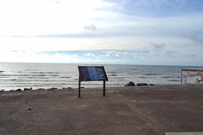 The Birds of Galveston Marker. Click for full size. The Birds of Galveston Marker image. Click for full size.