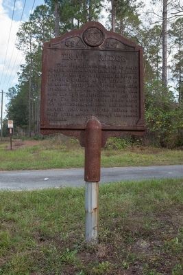 Trail Ridge Historic Marker - Hoboken, Georgia. Click for full size. Trail Ridge Historic Marker - Hoboken, Georgia image. Click for full size.