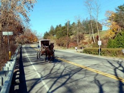 Amish buggy on the road by Tea Creek image. Click for full size.