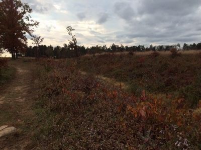 Portion of the Unfinished Railroad Grade near "The Rock Fight" Marker image. Click for full size.