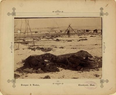 <i>Big Foot's camp three weeks after the Wounded Knee Massacre </i> image. Click for full size.