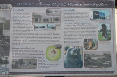 Cleaners, Hospital, Plumbers and a Big Bear Marker image. Click for full size.