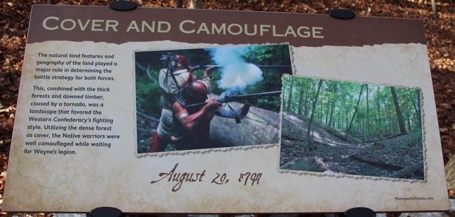 Cover and Camouflage Marker image. Click for full size.