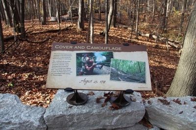 Cover and Camouflage Marker image. Click for full size.