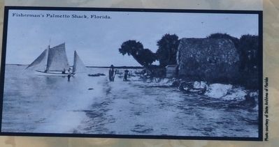 Fisherman's Palmetto Shack, Florida image. Click for full size.