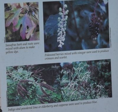 Foliage for Fashion. Click for full size. Foliage for Fashion image. Click for full size.