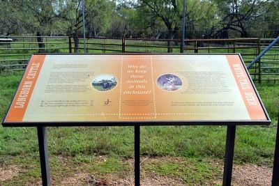 Longhorn Cattle and White-Tail Deer Marker image. Click for full size.