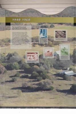 Farm History Marker - Panel 3 (1940-1960). Click for full size. Farm History Marker - Panel 3 (1940-1960) image. Click for full size.