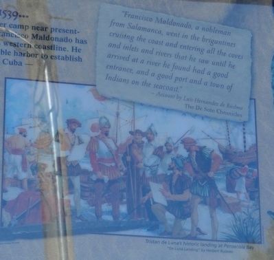 Tristan de Luna's historic landing at Pensacola Bay. Click for full size. Tristan de Luna's historic landing at Pensacola Bay image. Click for full size.