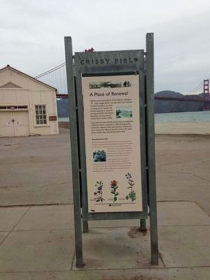 Crissy Field Marker image. Click for full size.