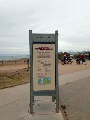 Chrissy Field Information image. Click for full size.