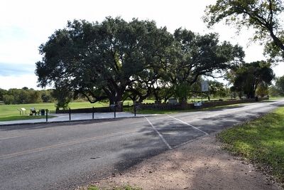Johnson Family Cemetery as viewed from Park Road 49 image. Click for full size.