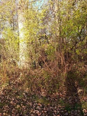Marker Hidden in Brush image. Click for full size.