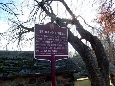 The Diamond Spring Marker. Click for full size. The Diamond Spring Marker image. Click for full size.