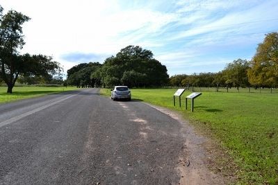 View to West Along Park Road 49. Click for full size. View to West Along Park Road 49 image. Click for full size.