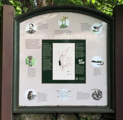 Discover Wahkeena Falls Marker image. Click for full size.