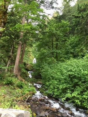 Wahkeena Falls image. Click for full size.