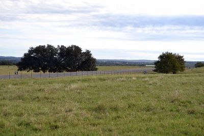 LBJ Ranch Airplane Runway. Click for full size. LBJ Ranch Airplane Runway image. Click for full size.