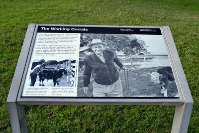 The Working Corrals Marker image. Click for full size.
