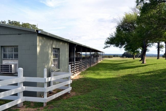 LBJ Ranch Show Barn image. Click for full size.