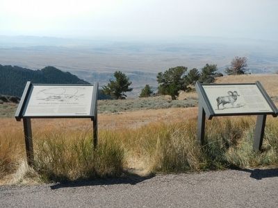 Bighorn Basin Markers. Click for full size. Bighorn Basin Markers image. Click for full size.