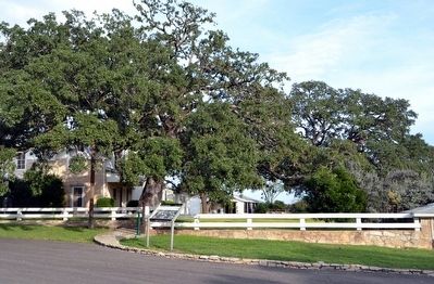 Marker next to the Texas White House image. Click for full size.
