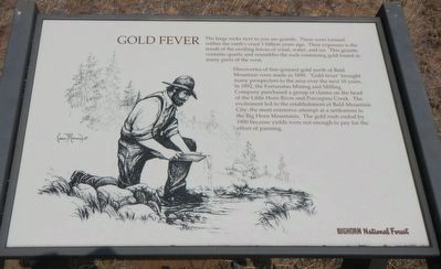 Gold Fever Marker image. Click for full size.