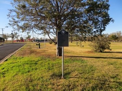 Civil War Veterans Reunions Marker. Click for full size. Civil War Veterans Reunions Marker image. Click for full size.